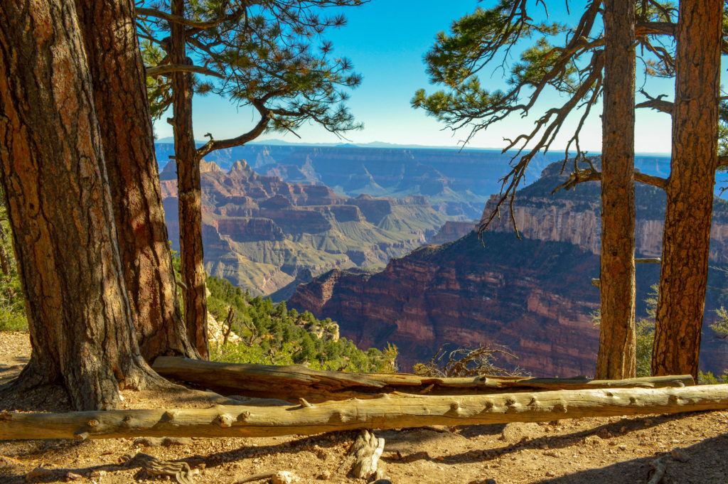 Hiking in the Grand Canyon's North Rim: Transept Trail - Traveling Gypsy RN